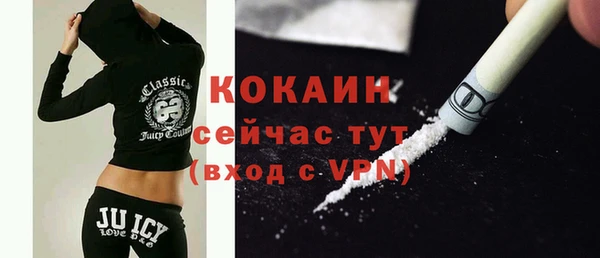 молекула духа Алексин