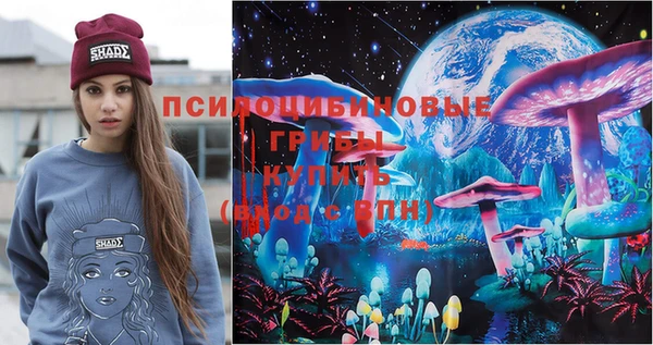 тгк Ростов