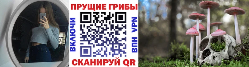 наркота  KRAKEN онион  Псилоцибиновые грибы ЛСД  Анадырь 
